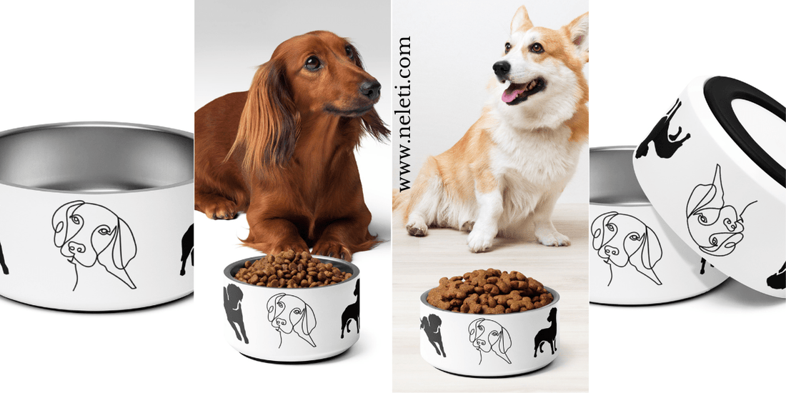 neleti.com-dog-bowl