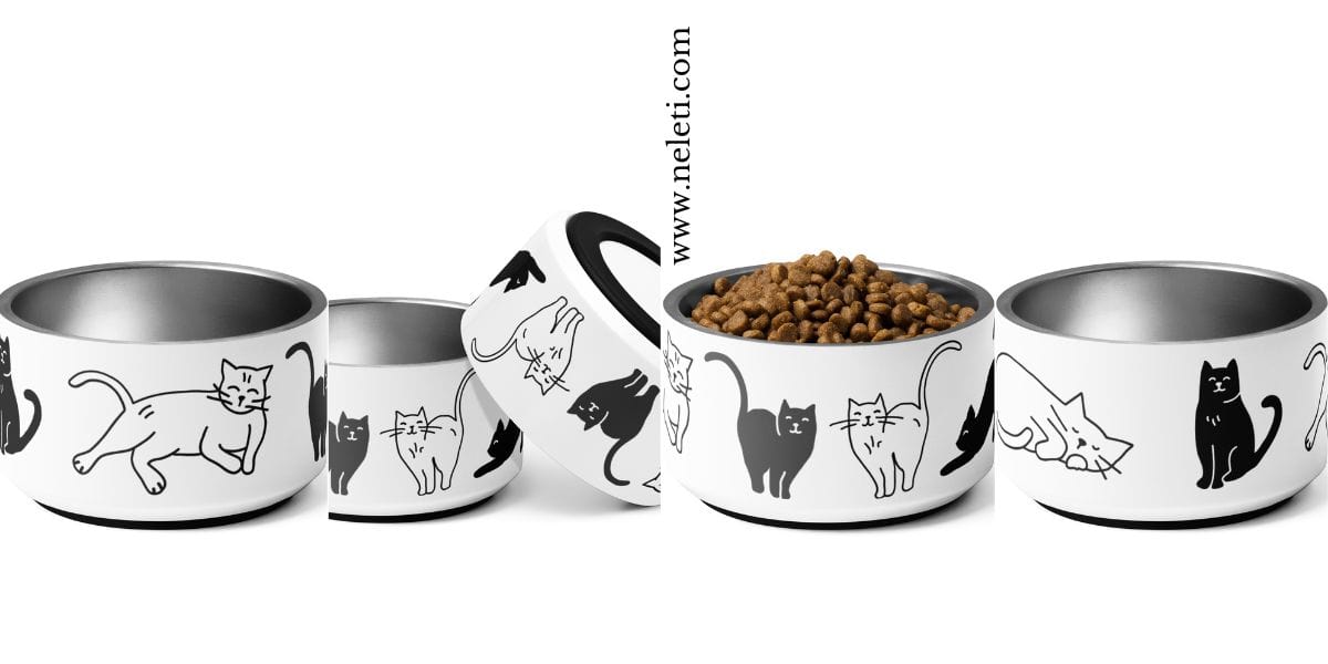 The Purrfect Guide: Choosing the Best Bowl for Your Beloved Cat - neleti