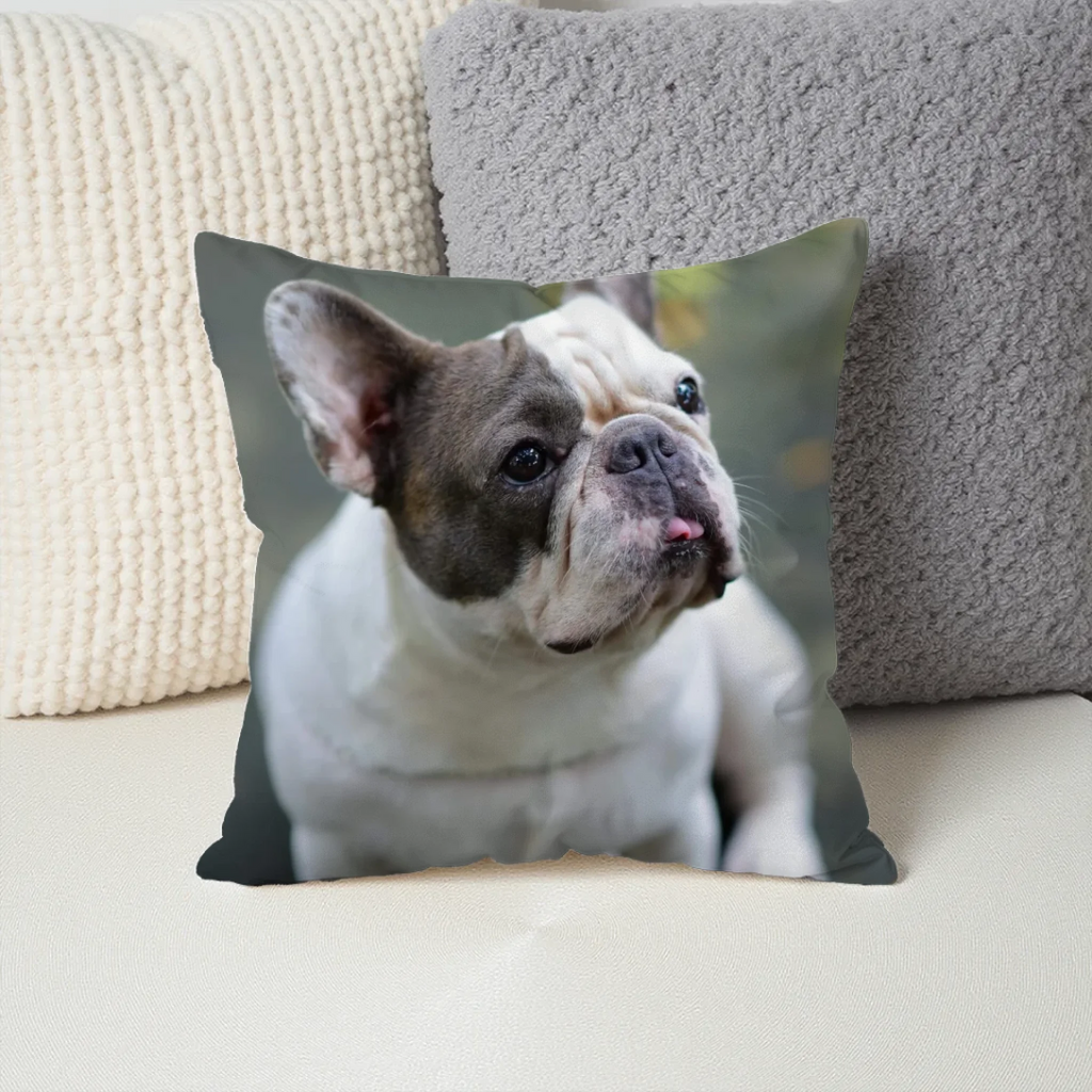 Pillow - Square - all color 4