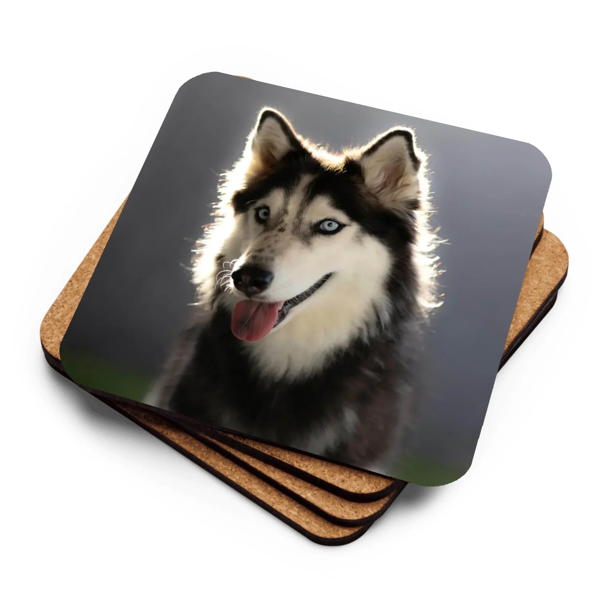 Personalized Pet Photo Coaster - Custom Dog Cat Picture