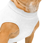 Custom Dog Sweater - Chihuahua, Pug, Beagle, Corgi, Labrador, Golden Retriever - Personalized Name & Paws