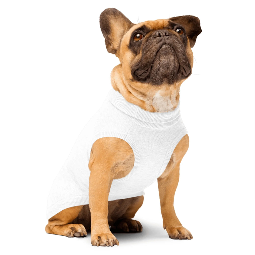 Custom Dog Sweater - Chihuahua, Pug, Beagle, Corgi, Labrador, Golden Retriever - Personalized Name & Paws