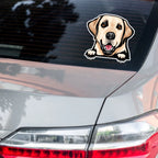 Custom Dog Sticker Car Window Decal