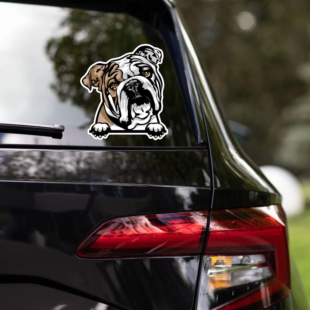 Bulldog sticker on car rear window, outdoors