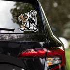 Bulldog sticker on car rear window, outdoors