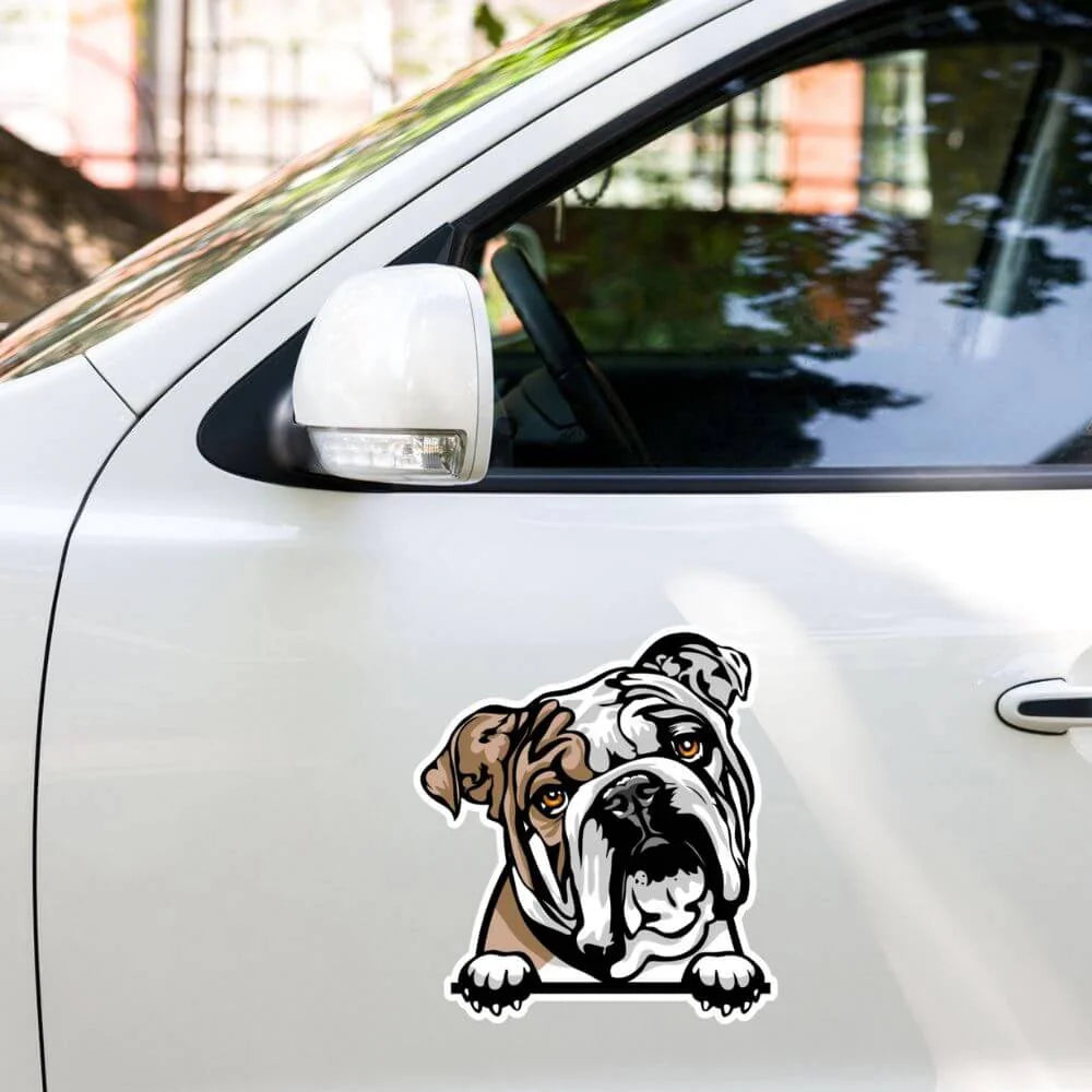 Bulldog sticker on car side