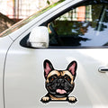 French Bulldog sticker on car door - waterproof decal application example for dog dads
