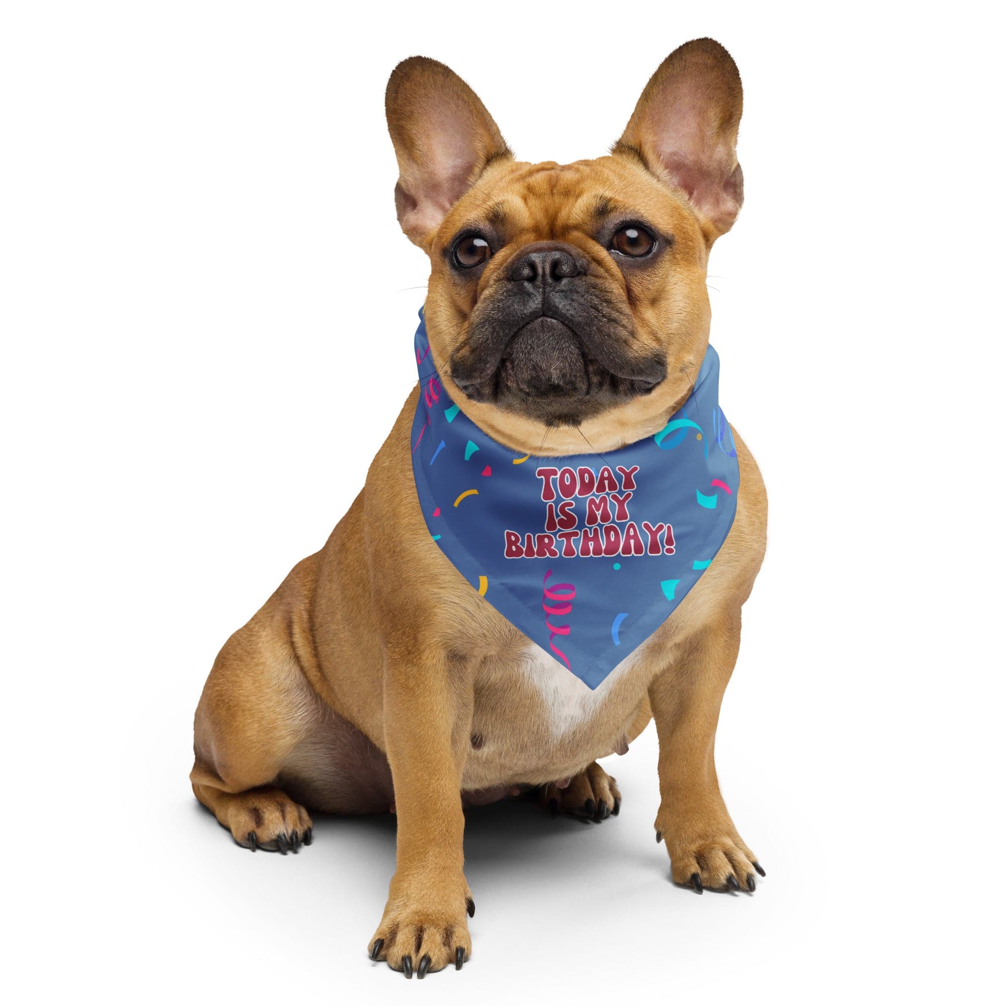 French Bulldog wearing blue birthday bandana with confetti design and TODAY IS MY BIRTHDAY message
