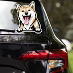 Shiba Inu sticker on car window  - waterproof decal application example for dog dads

