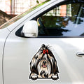 Shih Tzu sticker on car door - waterproof decal application example for dog dads
