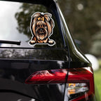 Yorkshire Terrier sticker on rear car window