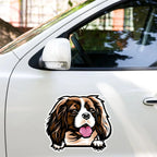 Cavalier - Waterproof Decal for Car, Laptop, Water Bottle, Notebook, Phone Case | Dog Mom Gift - neleti