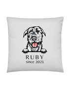Custom Dog Pillow with Name & Year - neleti