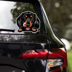 Dachshund - Waterproof Decal for Car, Laptop, Water Bottle, Notebook, Phone Case | Dog Mom Gift - neleti