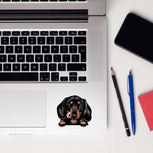 Dachshund - Waterproof Decal for Car, Laptop, Water Bottle, Notebook, Phone Case | Dog Mom Gift - neleti