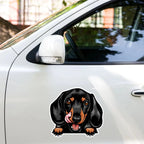 Dachshund - Waterproof Decal for Car, Laptop, Water Bottle, Notebook, Phone Case | Dog Mom Gift - neleti