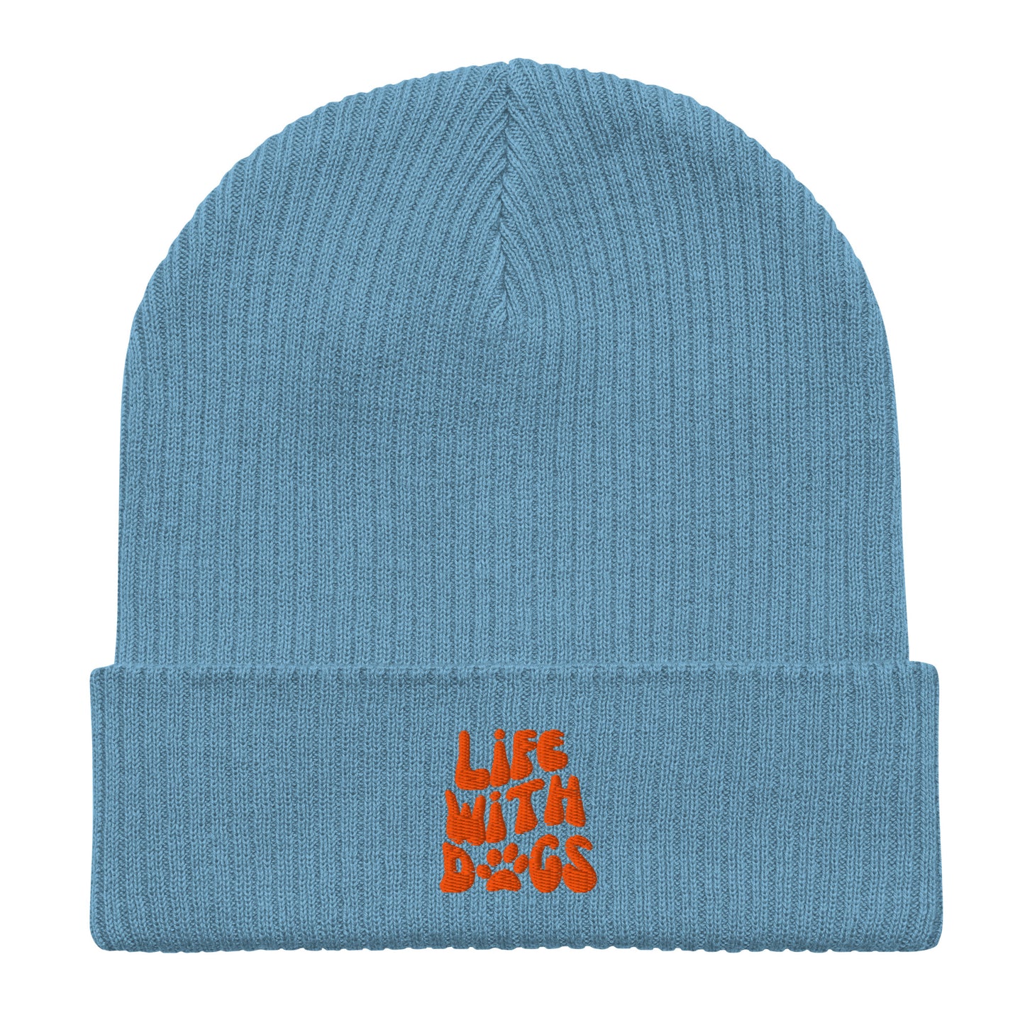 light-blue-beanie-for-dog-lovers