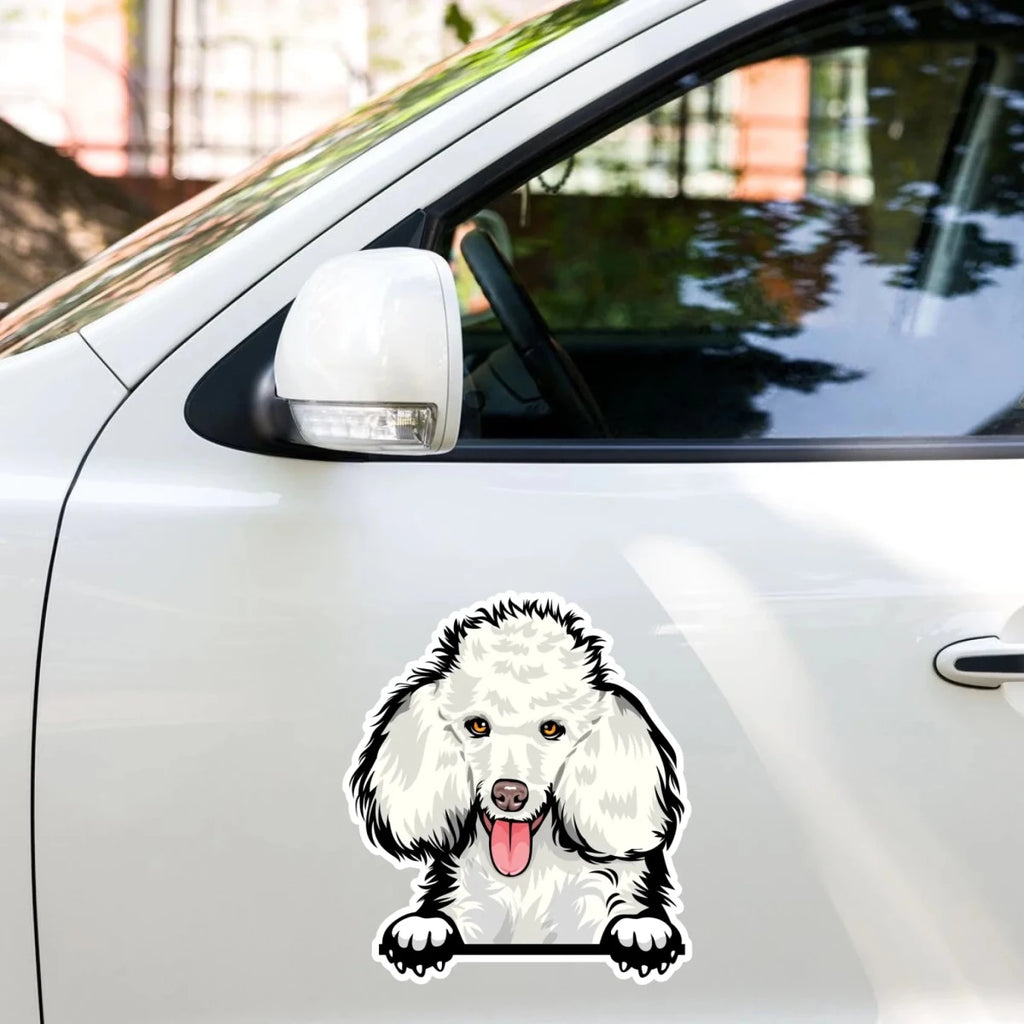 Poodle - Waterproof Decal for Car, Laptop, Water Bottle, Notebook, Phone Case | Dog Mom Gift - neleti