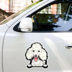 Poodle - Waterproof Decal for Car, Laptop, Water Bottle, Notebook, Phone Case | Dog Mom Gift - neleti