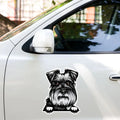 Schnauzer - Waterproof Decal for Car, Laptop, Water Bottle, Notebook, Phone Case | Dog Mom Gift - neleti